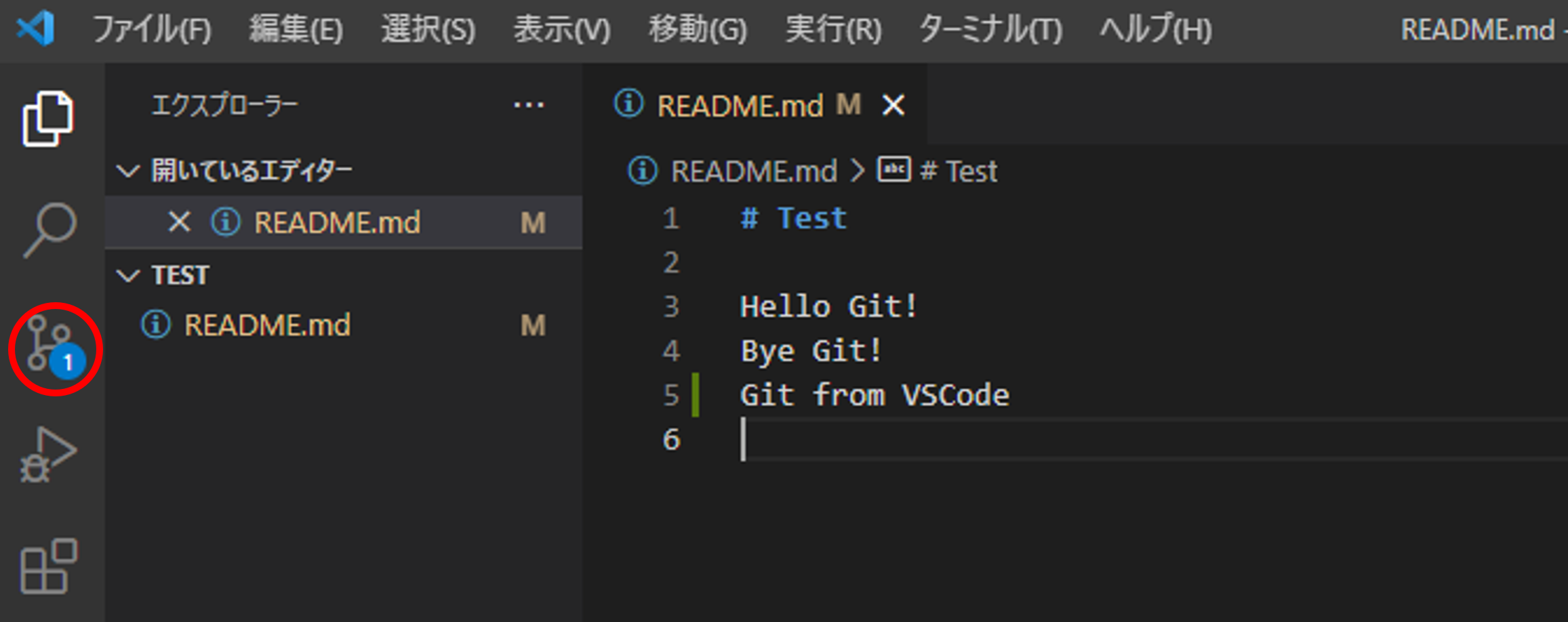 VS Code_giticon